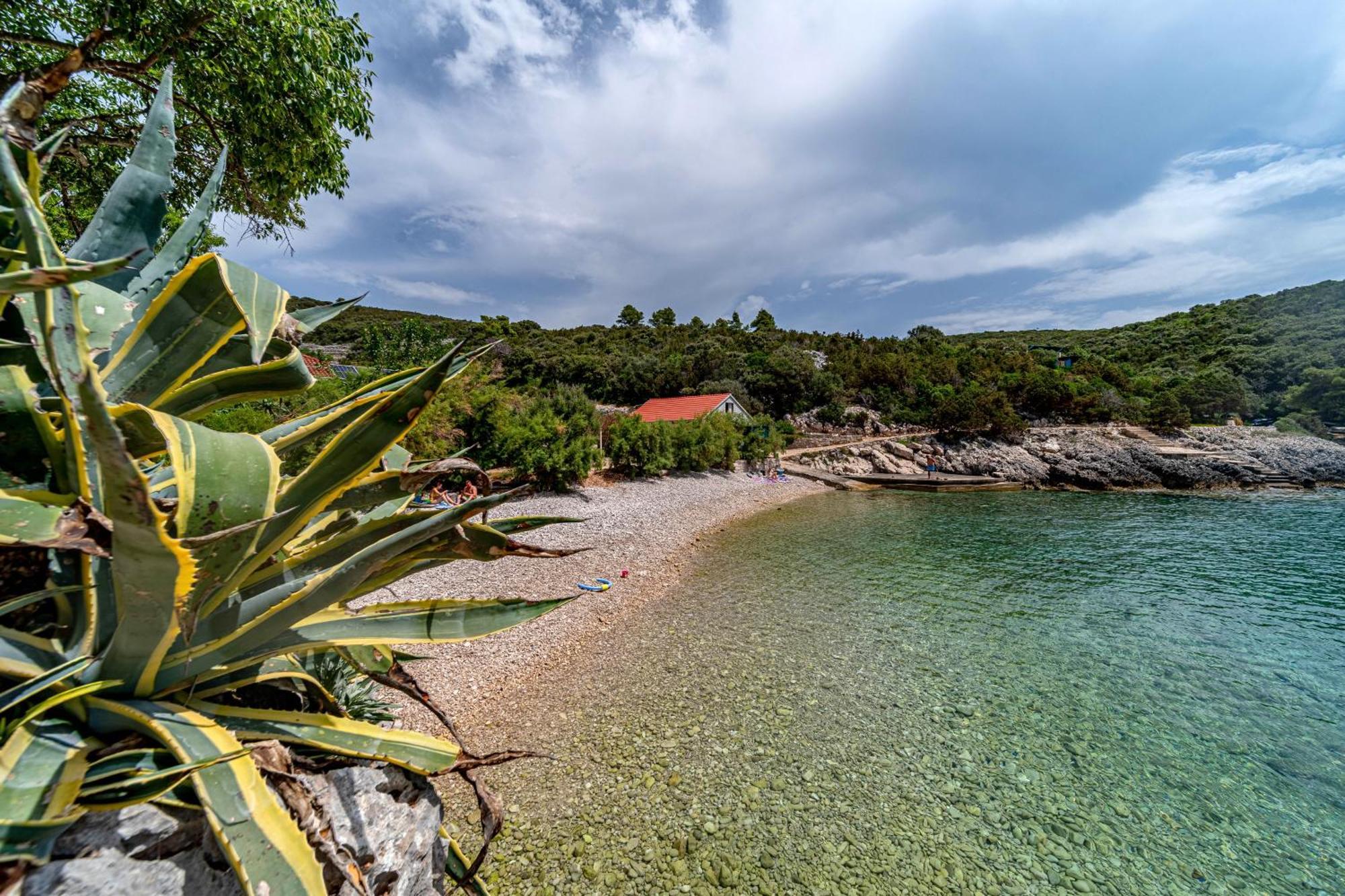 Seaside House For Families With Children Cove Rasohatica, Korcula - 4386 Lumbarda Dış mekan fotoğraf